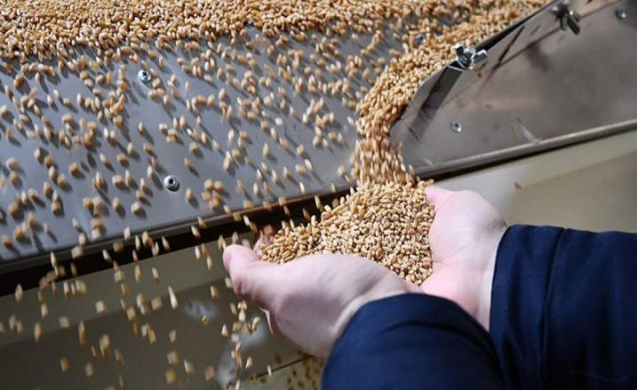 ABŞ Rusiyanı taxıl müqaviləsini uzatmağa çağırıb