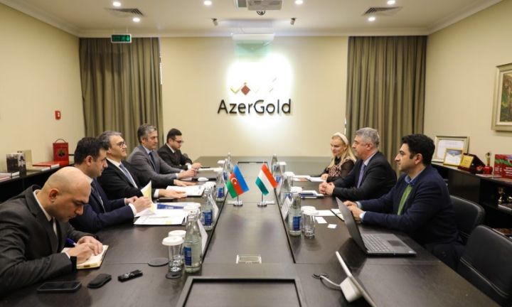 “AzerGold”un sədrinə Macarıstanın  “Vibrocomp” şirkəti haqqında məlumat verilib
