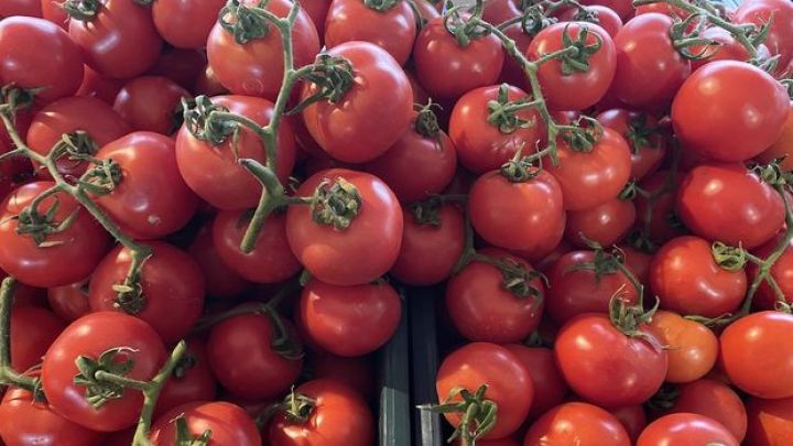 Türkiyə pomidor ixracına məhdudiyyət tətbiq etdi