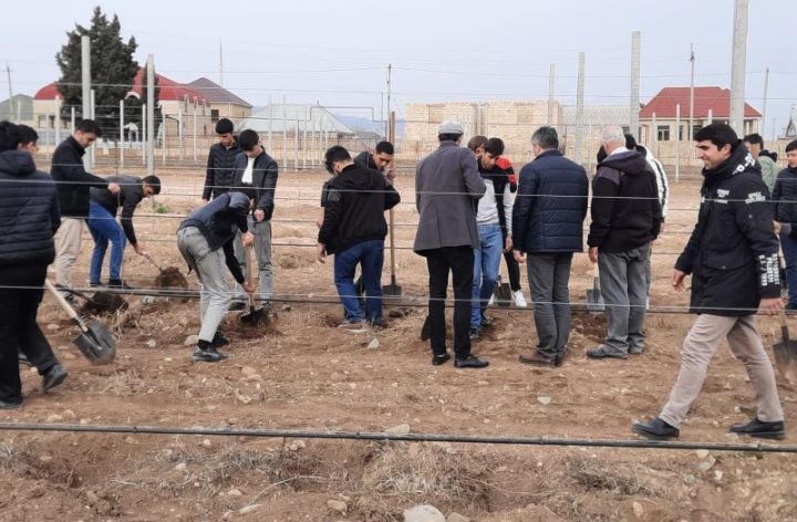 Coca-Cola-nın dəstəyi ilə növbəti ağacəkmə kampaniyası keçirilib - FOTOLAR