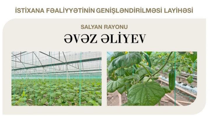 Əvəz Əliyev Salyanda istixanalarının genişləndirilməsi üçün ucuz borc aldı