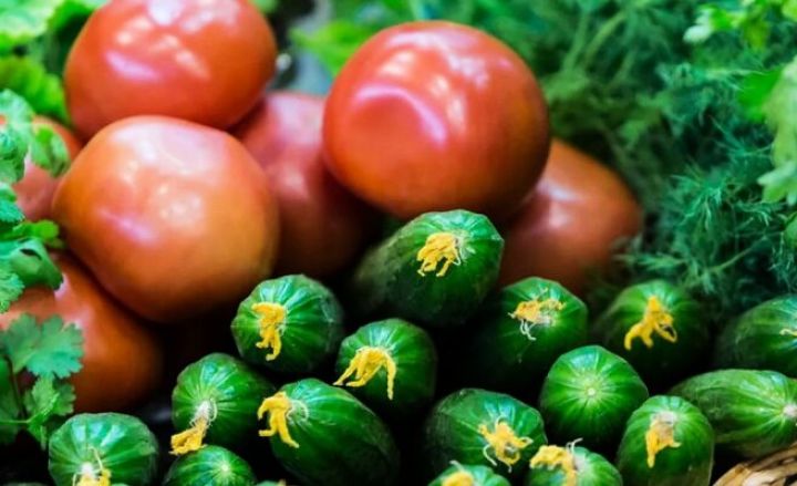 2022-ci ildə Rusiyada istixana tərəvəzlərinin istehsalı rekord həddə çatıb