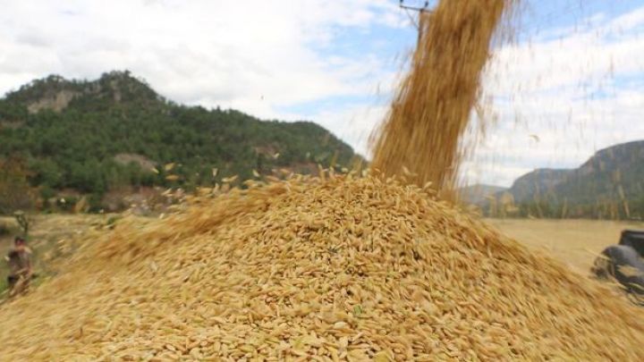 KİV: "Taxıl sazişi" Ərdoğanla Putinin görüşündən sonra uzadıla bilər"