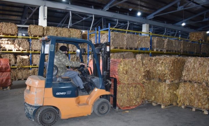 Rusiya şirkətləri ilə müqavilə bağlanıb, 60 ton quru tütün ixrac olunub