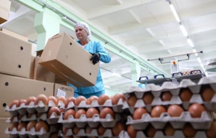 Rusiya Türkiyədən yumurta idxalına başladı