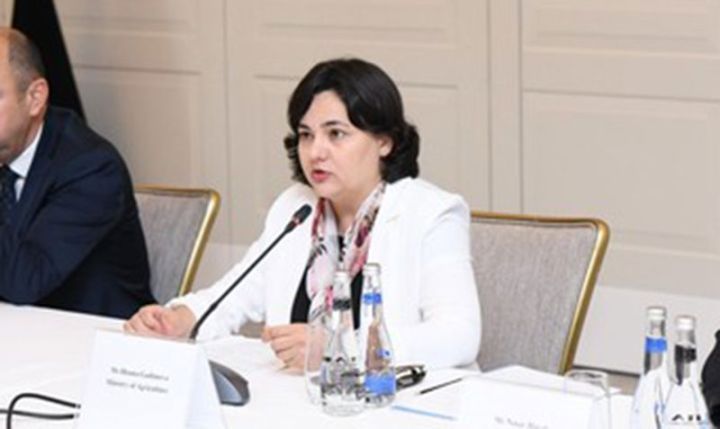 Azərbaycanda müasir suvarma sistemlərinin tətbiq edildiyi ərazilərin sahəsi açıqlanıb