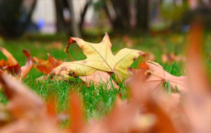 Sabah gözlənilən hava şəraiti açıqlanıb