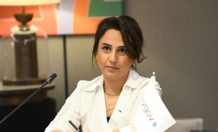 "Özəl klinikaların iştirakı ilə birgə rəqəmsallaşma işləri aparılır"