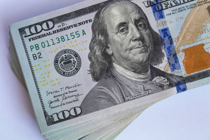 Banklara daha böyük məbləğdə dollar satıldı - VALYUTA HƏRRACININ NƏTİCƏSİ