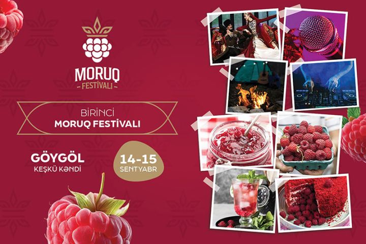 Göygöldə “Moruq Festivalı” keçiriləcək - TARİX