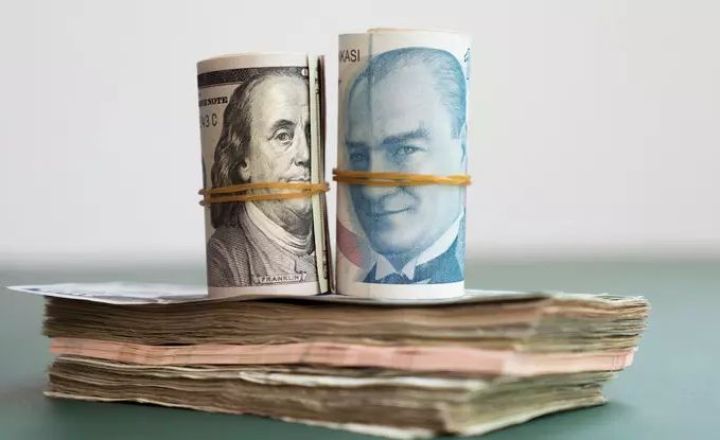 Dolların 2025-ci ilin sonunda 42 Türkiyə lirəsi olacağı təxmin edilir