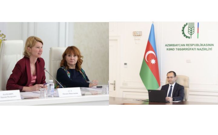 Rusiya: Azərbaycanın taxıla olan tələbatını tam qarşılamağa hazırıq -  Biznes missiyası Azərbaycana gəlir