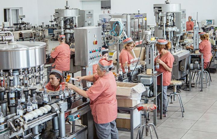 Şirkət şərabdan qazancını səhmdarları arasında bölüşdürəcək - YIĞINCAQ