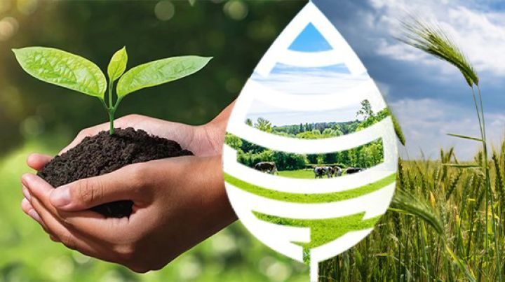 "Aqrar Sığorta Müştərək Sığorta Şirkəti"nin səhmdarlarının pay bölgüsü dəyişəcək