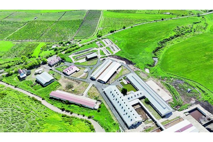 Xocalıda torpaqların əkin məqsədli istifadəyə verilməsi üçün müraciətlərin qəbuluna başlanır