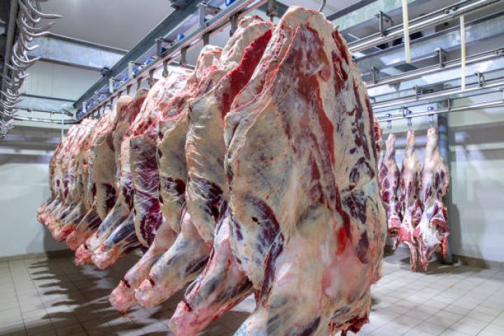 Azərbaycan xaridən ət alışını kəskin artıb - 130 MİLYON DOLLARLIQ İDXAL