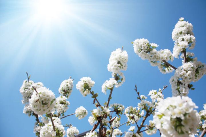 25 dərəcə isti olacaq - Aprelin 1-də gözlənilən hava şəraiti