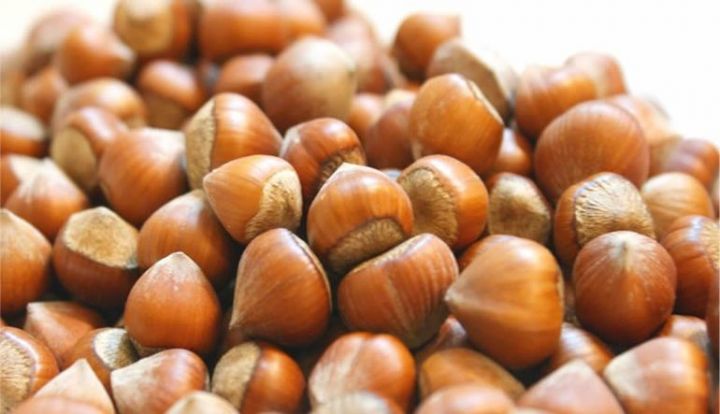 Dünya nəhəngi fındıq üçün Azərbaycana gəldi