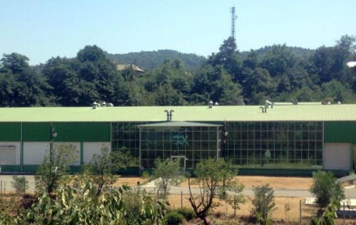 Broyler fabrikindəki partlayışın ilkin səbəbi açıqlandı