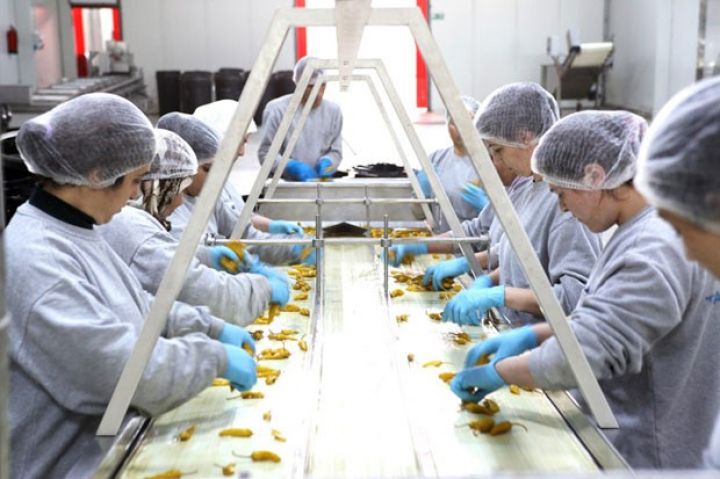 65 istehsal və emal müəssisəsi istifadəyə veriləcək