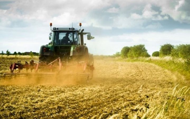 Azərbaycanda əhalinin hər bir nəfərinə 0,18 ha əkin sahəsi düşür