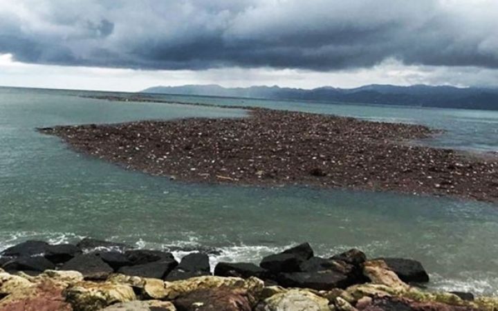 Dənizdə fındıq adası yaranıb - TÜRKİYƏ İSTEHSALÇILARI ZƏRƏRDƏ