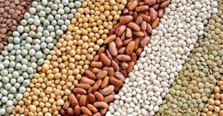 Toxum və ting istehsalçılarına subsidiyanın verilməsinə başlanılıb