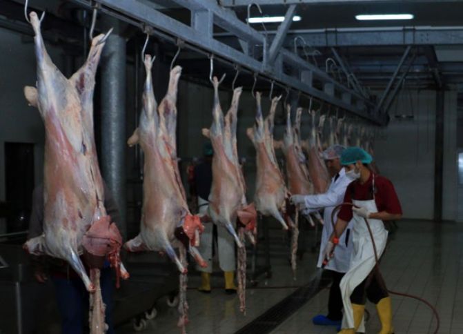 Agentlik sahibkarları yeni ət kəsim məntəqələrini yaratmağa dəvət edir