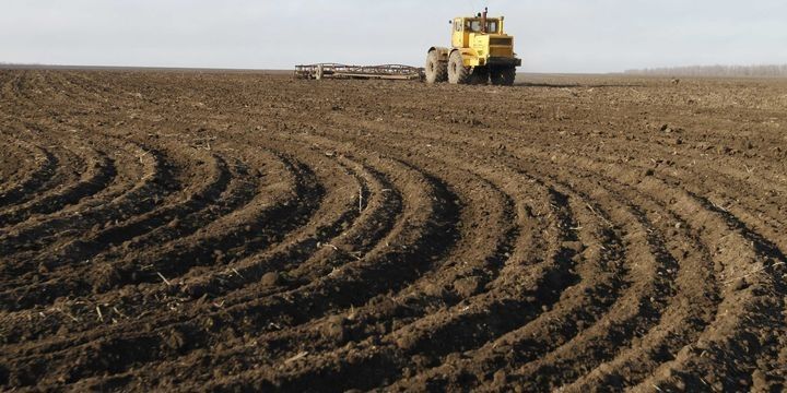 Peyk müşahidəsi kənd təsərrüfatına necə kömək edə bilər?