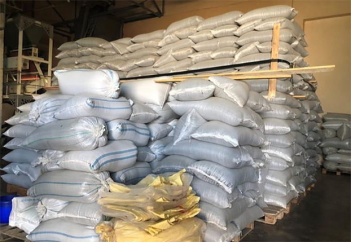 Agentlik 63 ton günəbaxan tumunu məhv etdi