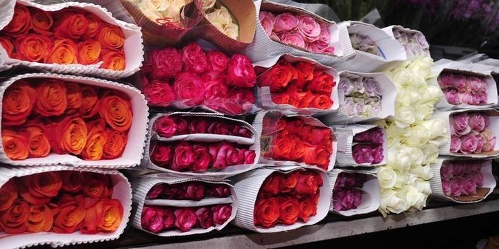 Azərbaycan Türkiyədən ən iri gül idxalatçıları sırasındadır