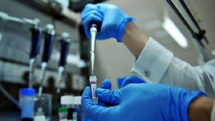 Gürcüstanda “donuz qripi”ndən ölənlərin sayı 8 nəfərə çatıb