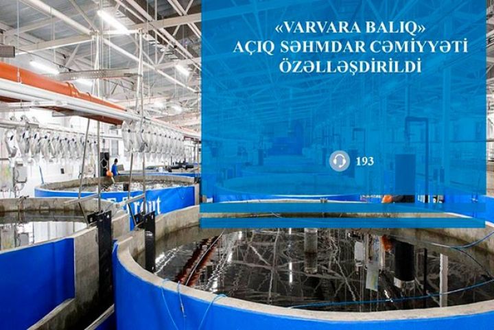“Varvara Balıq” özəlləşdi - BU ŞİRKƏT ALDI, 12 MİLYON YATIRACAQ
