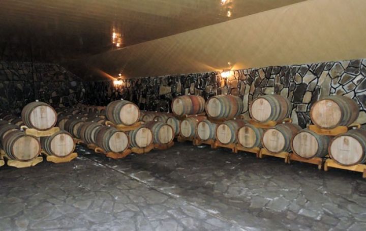 "Hazırda böyük həcmdə şərab ixracı üçün danışıqlar aparırıq"