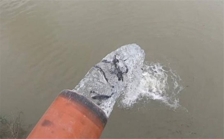 Kürə 30 minədək balığın buraxılması planlaşdırılır