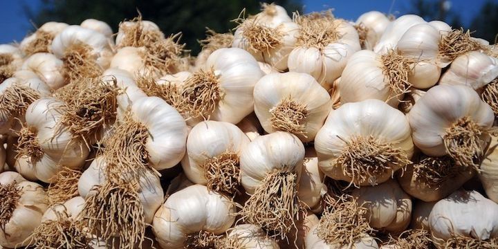 Türkiyə sarımsaq idxalına gömrük vergisini endirib