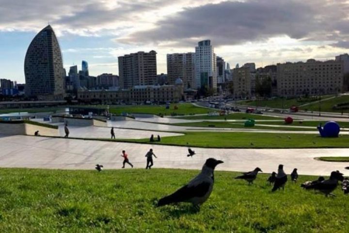 Həftənin ilk iş günü üçün gözlənilən hava şəraiti açıqlanıb