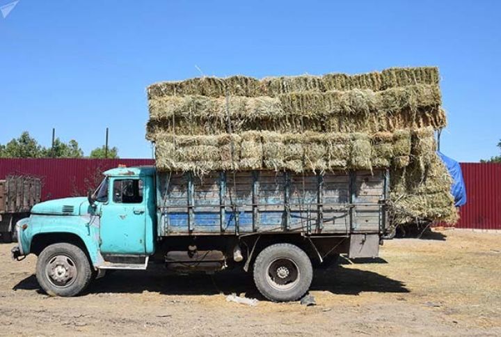 Quru ot bahalaşıb - "Bir az da artım olsa məcburuq bütün mal-qaranı sataq"