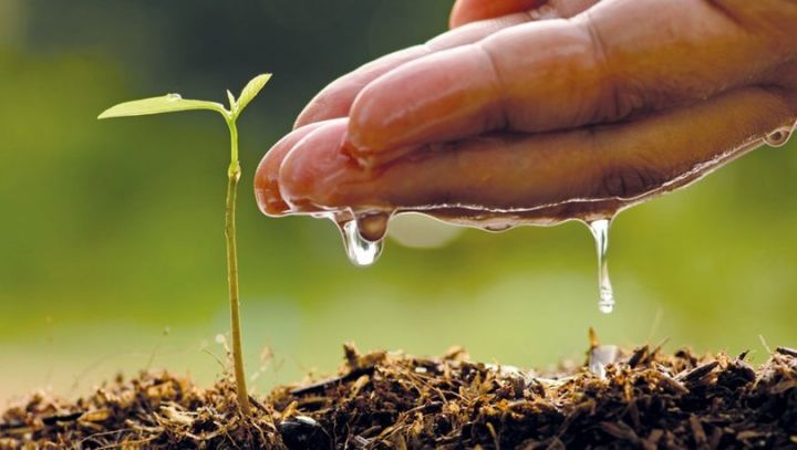 Aqrar sığorta əkin sahəsi və məhsulları belə sığortalayacaq – Fermerlərin Diqqətinə