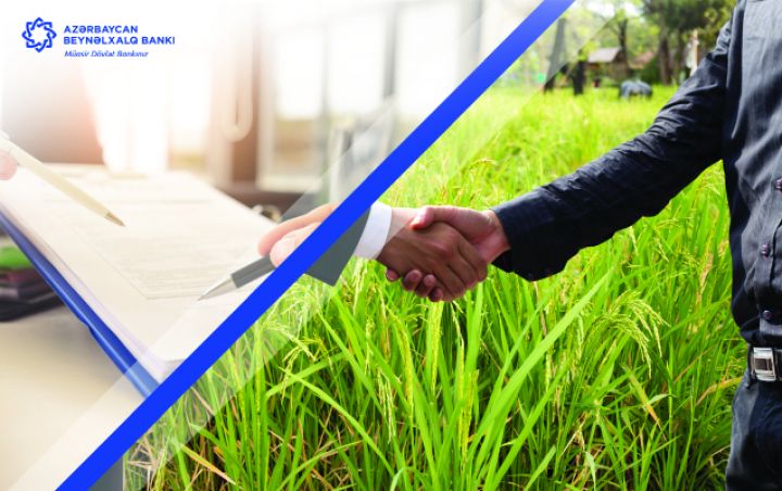 Beynəlxalq Bank bu il 55 ailənin özünüməşğulluğunu təmin edib