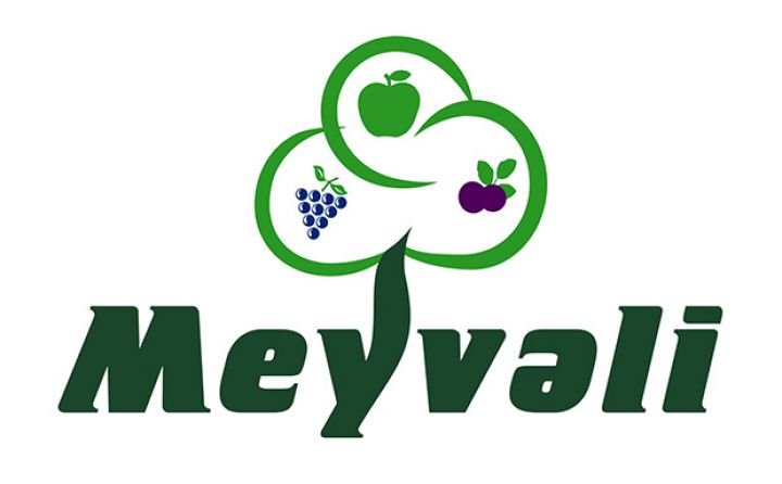 “Meyvəli”  Silahlı Qüvvələrə Yardım Fonduna 100 000 manat ianə ayırdı
