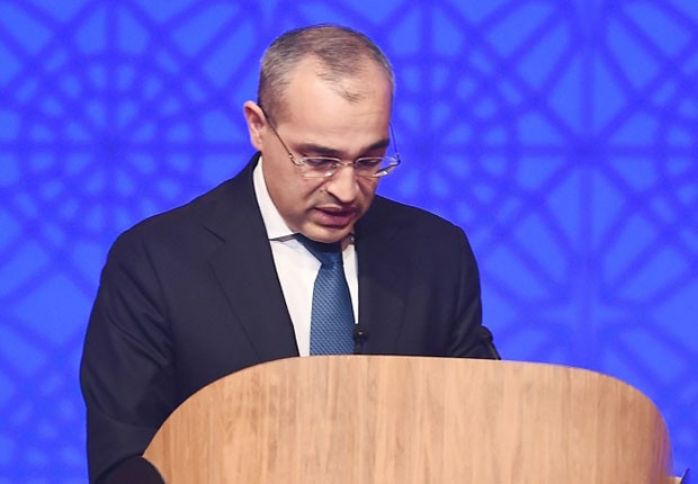 Nazir, işləməyən və ya zərərlə işləyən müəssisələr ilə bağlı planları açıqladı