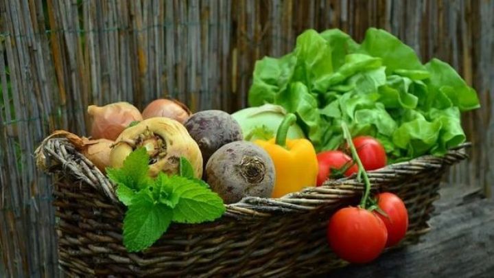 "Rusiya Çin yerinə Türkiyə meyvə-tərəvəzi ala bilər"