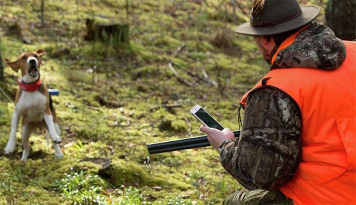 Azərbaycanda ov mövsümünün bitəcəyi tarix açıqlanıb