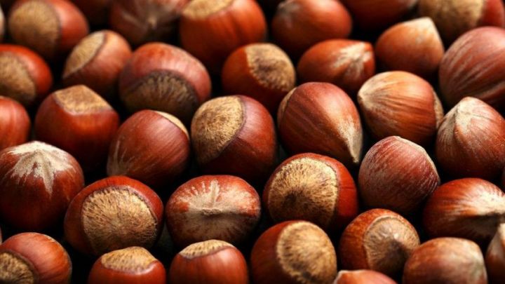 Azərbaycan fındığı aşağı gəlirli bazarlara ixrac edilir