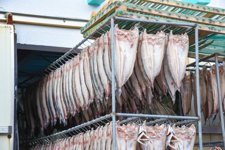 Azərbaycanın balıq şirkətinin əsas vəsaitləri satılacaq