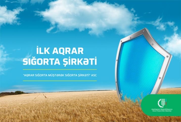 Müştərək Sığorta Şirkəti ilk ilini zərər ilə bağlayıb