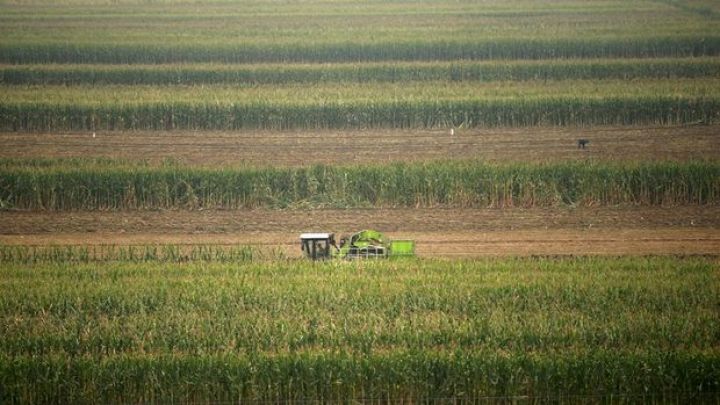 Türkiyə vətəndaşı Azərbaycanda 100 min manat sərmayə ilə aqrar şirkət yaradıb
