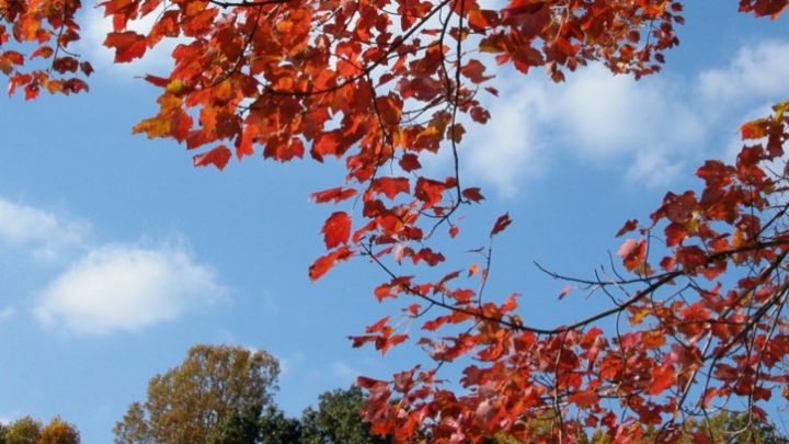 Oktyabrın 16-da gözlənilən hava şəraiti