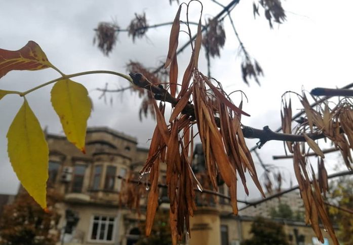 Bakıda və rayonlarda yağış yağacaq - HAVA PROQNOZU